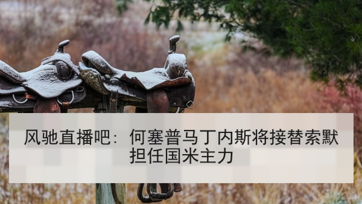 风驰直播吧: 何塞普马丁内斯将接替索默担任国米主力