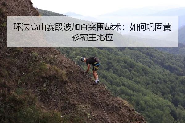 环法高山赛段波加查突围战术：如何巩固黄衫霸主地位