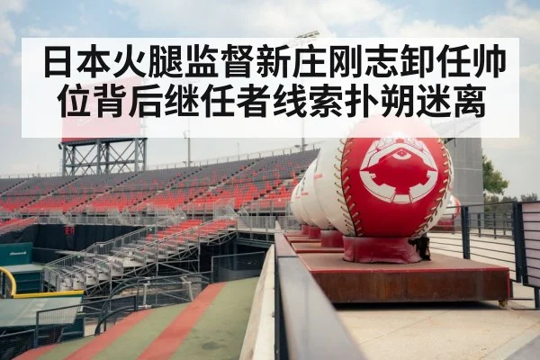 日本火腿监督新庄刚志卸任帅位背后继任者线索扑朔迷离